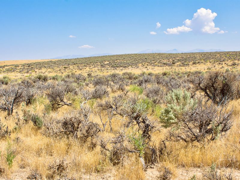 Own 1.03 Acres of Outdoor Bliss : Saint Elko : Elko County : Nevada