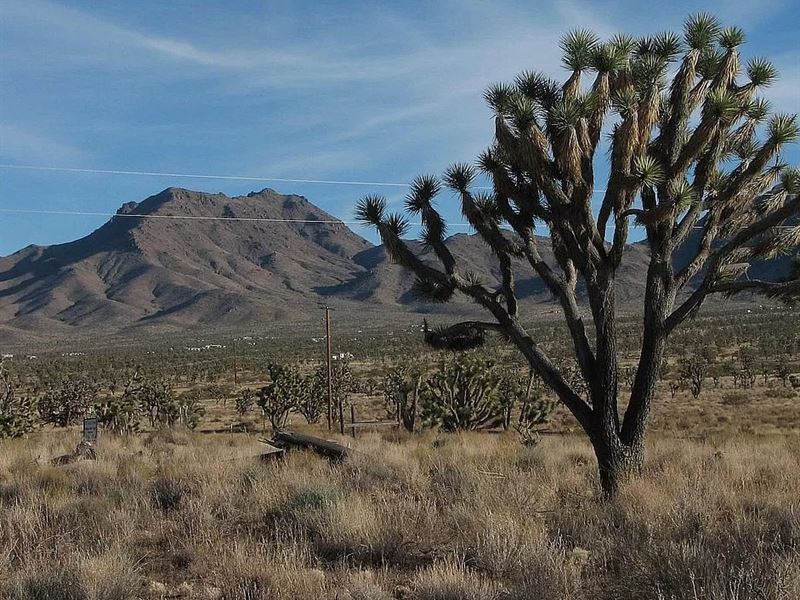 Don't Blink Don't Miss Out, $120/Mo : Meadview : Mohave County : Arizona