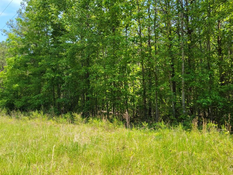 5 Acres in Franklin County, VA : Ferrum : Franklin County : Virginia