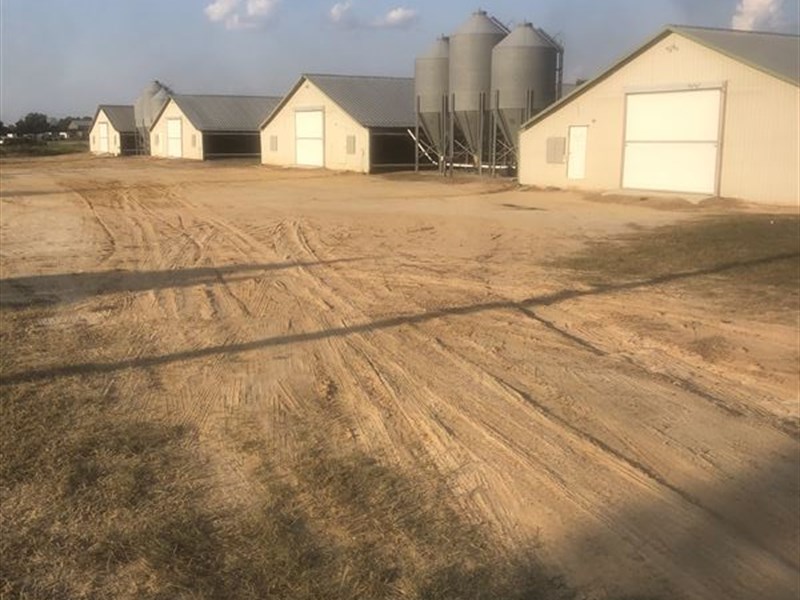 6 Broiler House Farm for Sale : Hartsfield : Colquitt County : Georgia