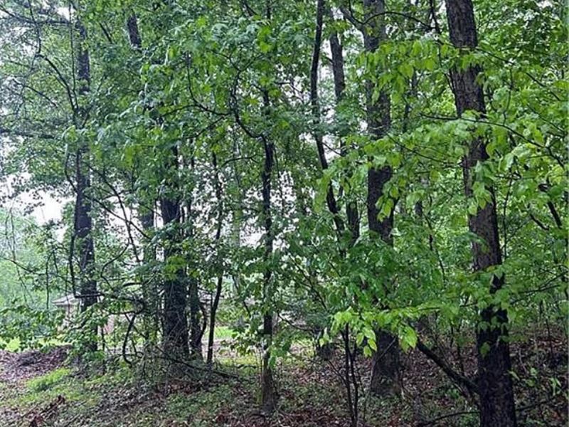 Great Lot, 0.47 Acre to Build : Westminster : Oconee County : South Carolina