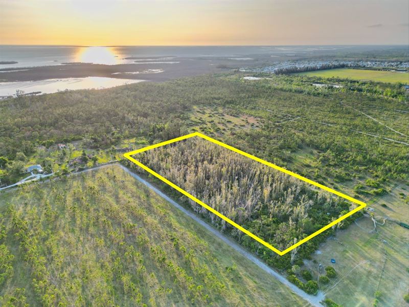 5 Acre Lot with Island Living : Saint James City : Lee County : Florida