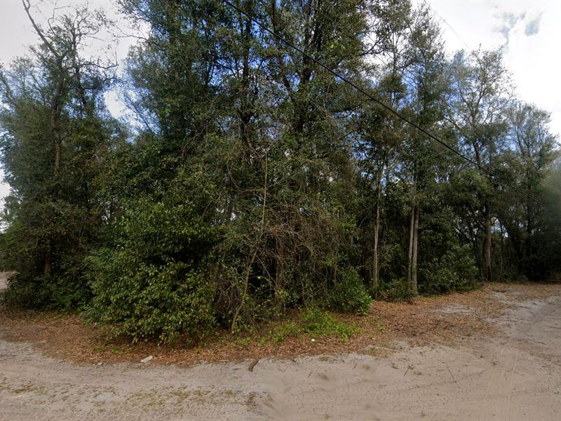 Mobile Friendly 0.51 Ac Property : Umatilla : Marion County : Florida