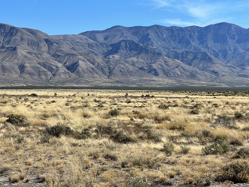 Reduced, Bring Otvs, 20 Ac West TX : Salt Flat : Hudspeth County : Texas