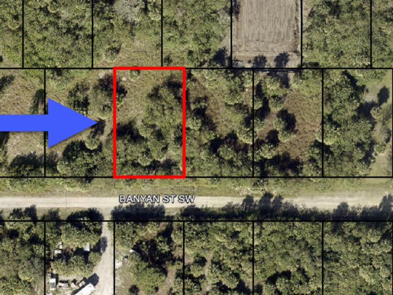 Beautiful Lot 30 Min From Beach : Palm Bay : Brevard County : Florida