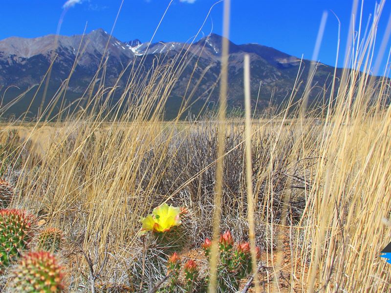 Build, Invest, or Give as a Gift : San Luis : Costilla County : Colorado