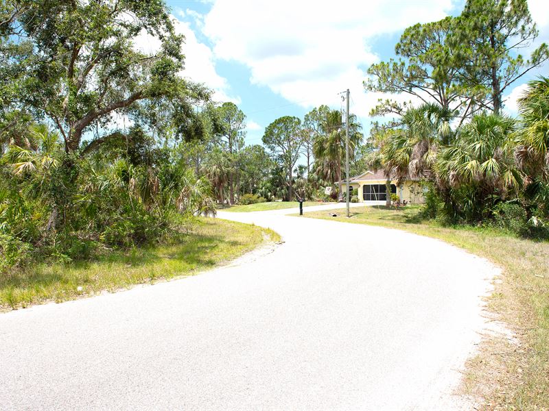 Power & Paved Road, Near Highway : New Port Richey : Pasco County : Florida