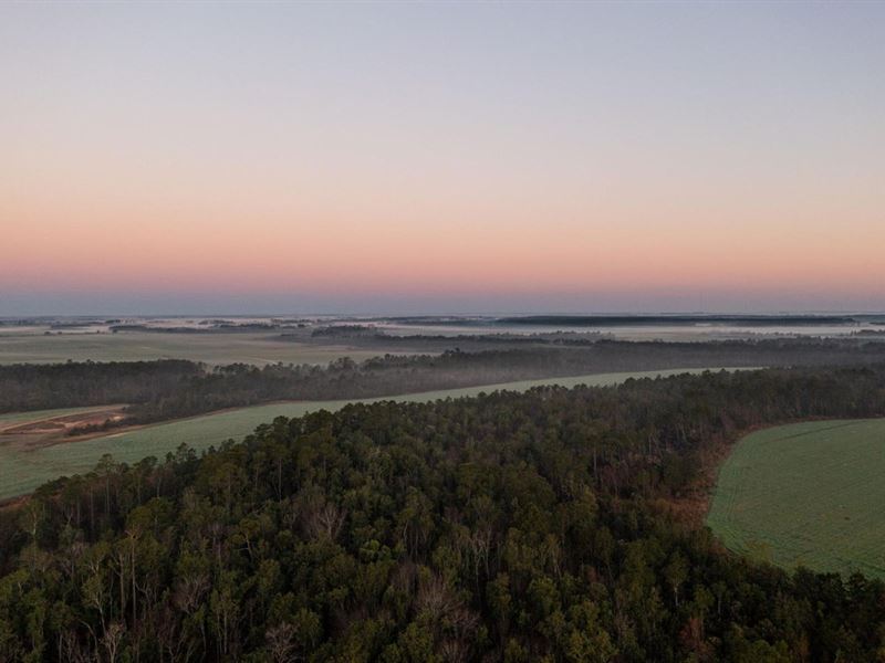 35 Acre Farm : Elberta : Baldwin County : Alabama