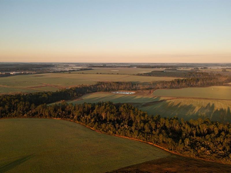 Rolling Acres Farm : Elberta : Baldwin County : Alabama