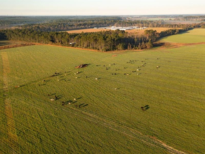Narrow Gap Farm : Elberta : Baldwin County : Alabama