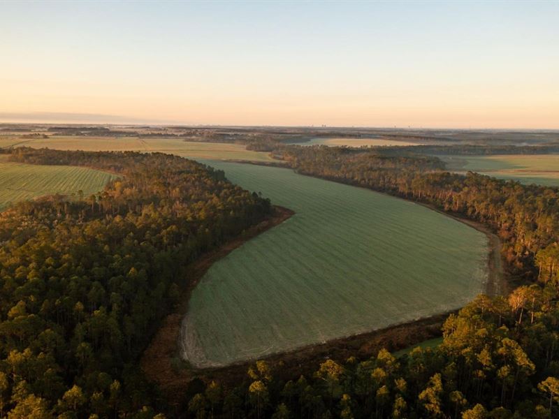 The Finger Farm : Elberta : Baldwin County : Alabama