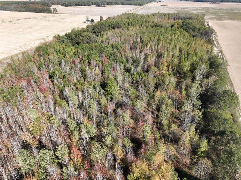 Panola County, Lot 3, Highway 6 : Batesville : Panola County : Mississippi