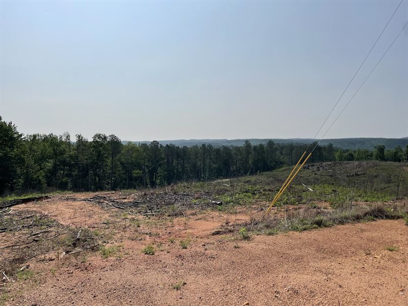 34 Acres on C.R. 131 : Goodwater : Coosa County : Alabama