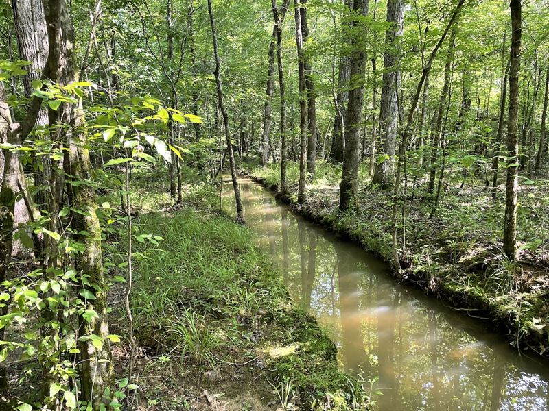 23 Ac Marble Valley Rd : Sylacauga : Coosa County : Alabama