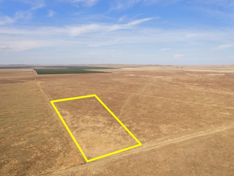 20.14 Ac of Rural Agricultural Land : Lost Hills : Kern County : California