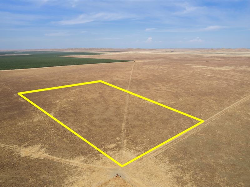 20.09 Acres AG Lot : Lost Hills : Kern County : California