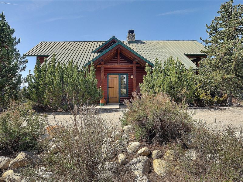 46.94 Acres Borders National Forest : Salida : Chaffee County : Colorado