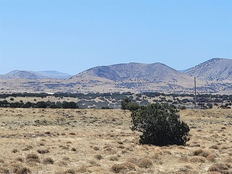 Fall in Love with This 1.04 Acre : Concho : Apache County : Arizona