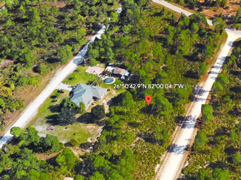 Take a Look at This 0.17 Acre Gem : Punta Gorda : Charlotte County : Florida