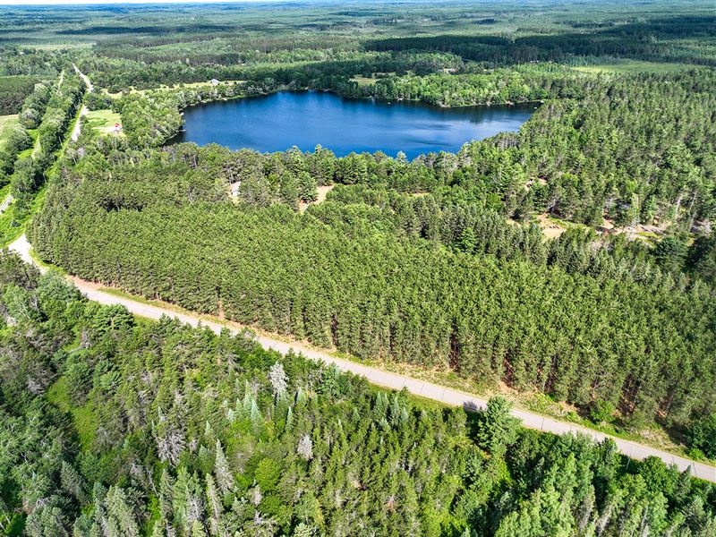 7+ Acres in Oneida County Near Lake : Rhinelander : Oneida County : Wisconsin