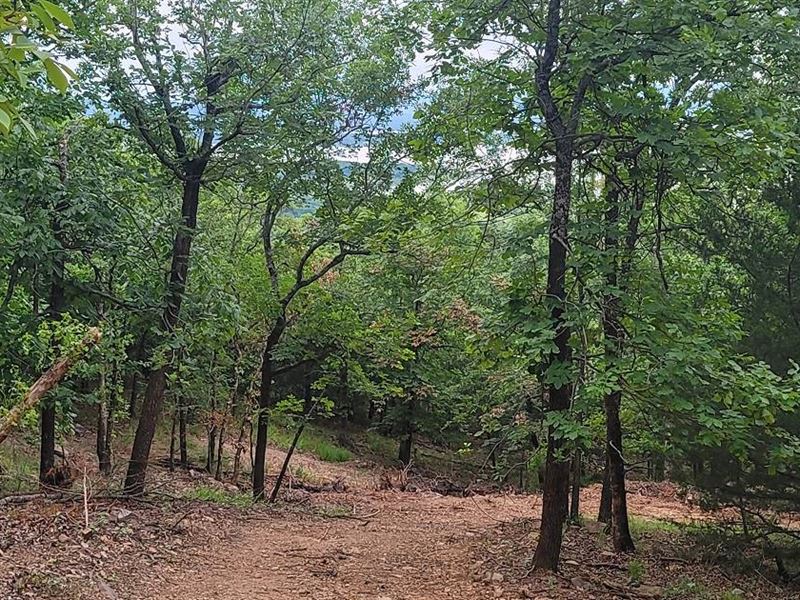 The Views BY Sardis Lake Tract 7 : Yanush : Latimer County : Oklahoma
