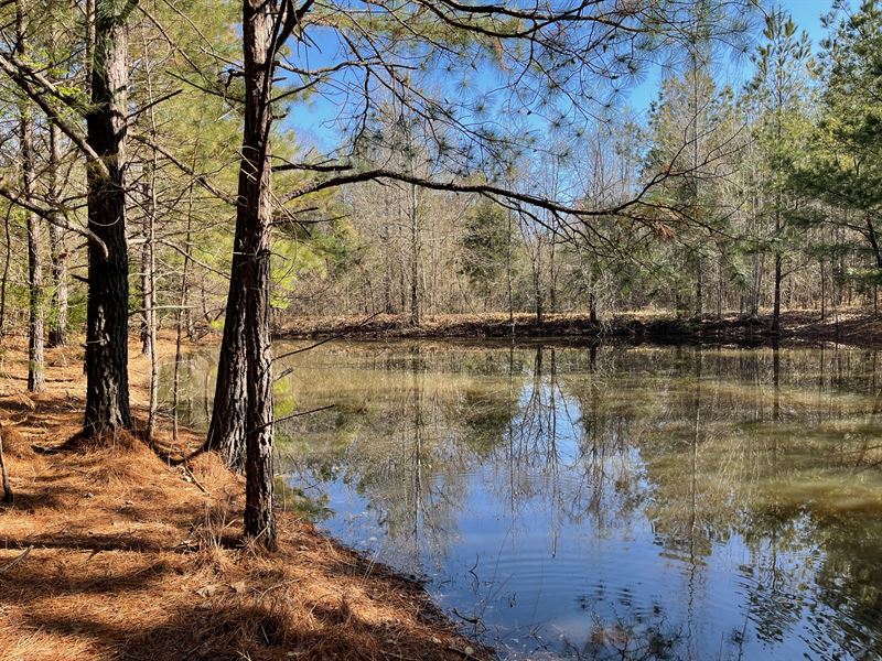 Acreage for Sale with Pond : Pocahontas : Hardeman County : Tennessee
