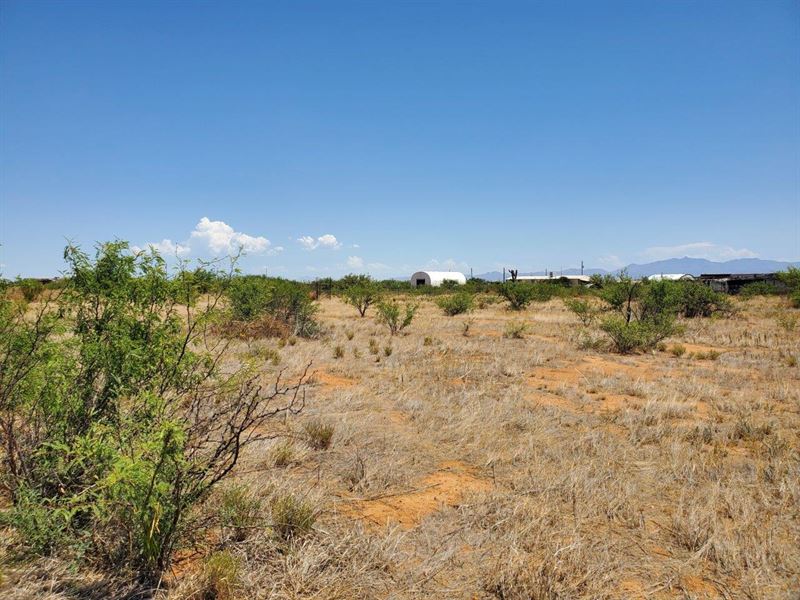 Almost 5 Acre Horse Property : Pearce : Cochise County : Arizona