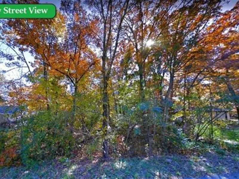 Nice Neighborhood Close To Big Lake : Horseshoe Bend : Izard County : Arkansas