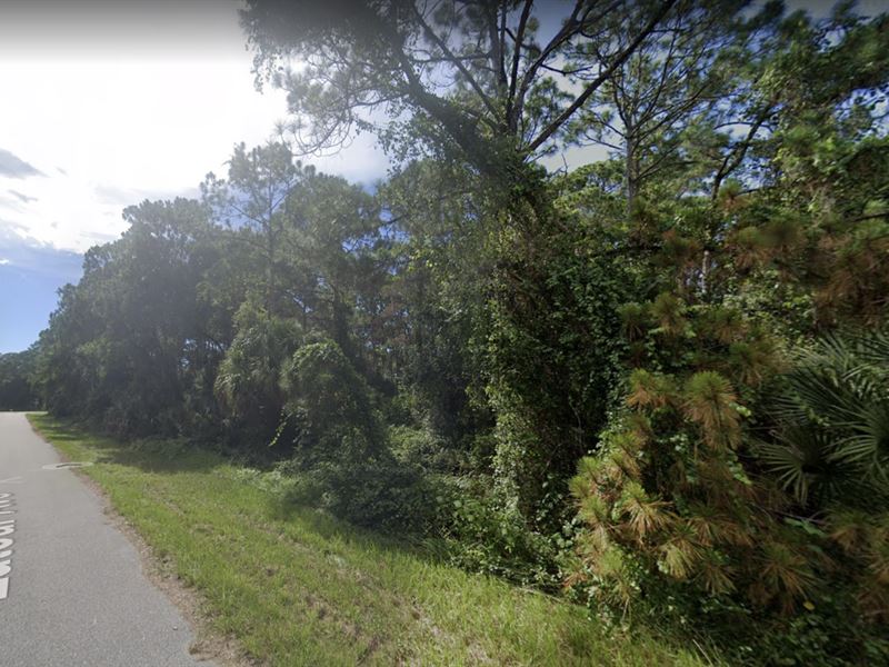 .23 Acre for Sale in North Port, FL : North Port : Sarasota County : Florida