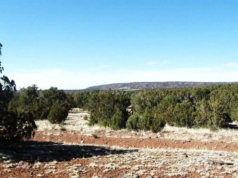 Invest Wisely, Build Beautifully : Williams : Coconino County : Arizona