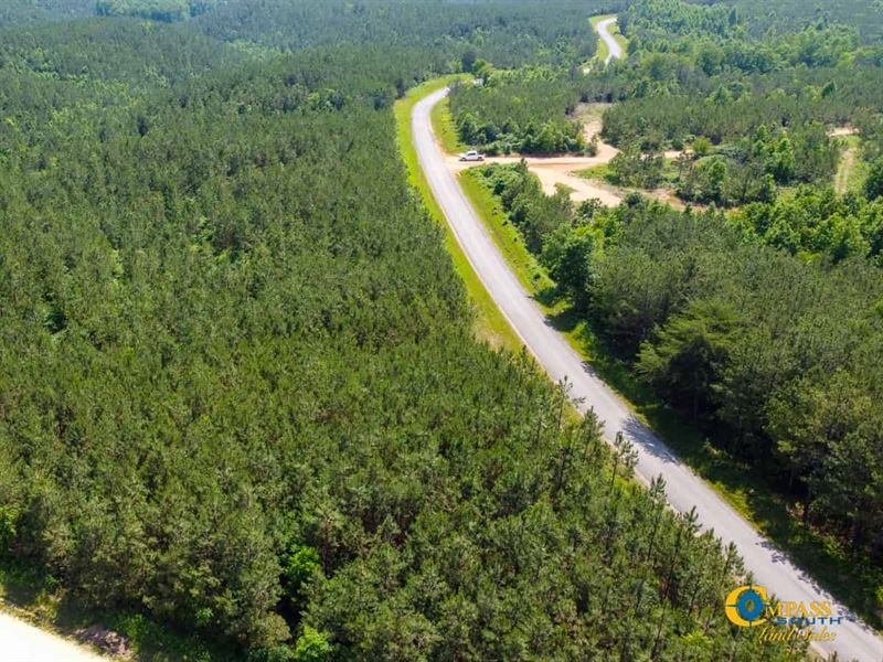 Rockhouse Road Tract : Hohenwald : Perry County : Tennessee