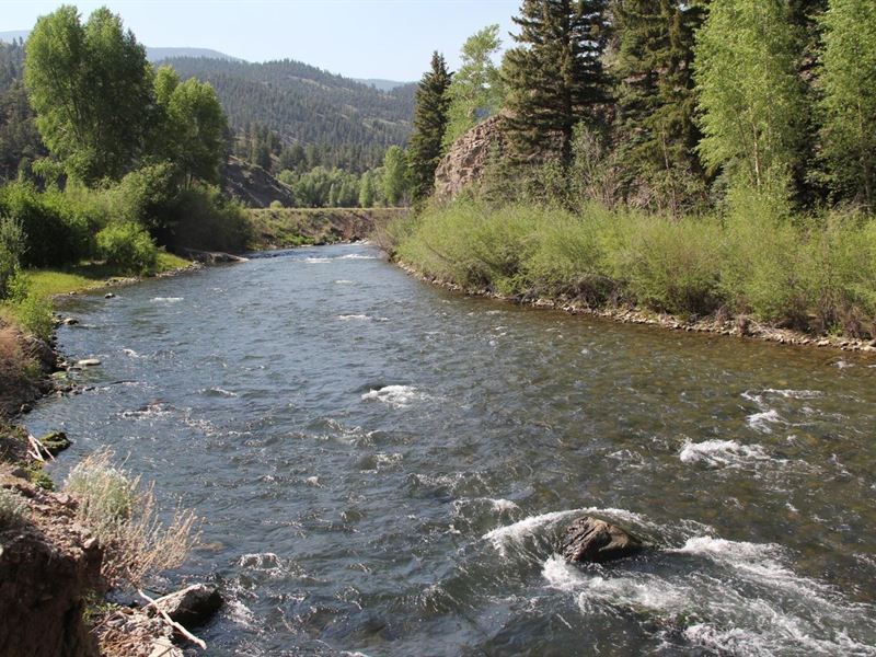 Lake Fork Hunting & Fishing Club Fu : Lake City : Hinsdale County : Colorado