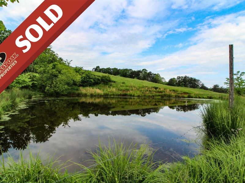 Sun Valley Rd, 112 Acres, Wood Co : Washington : Wood County : West Virginia