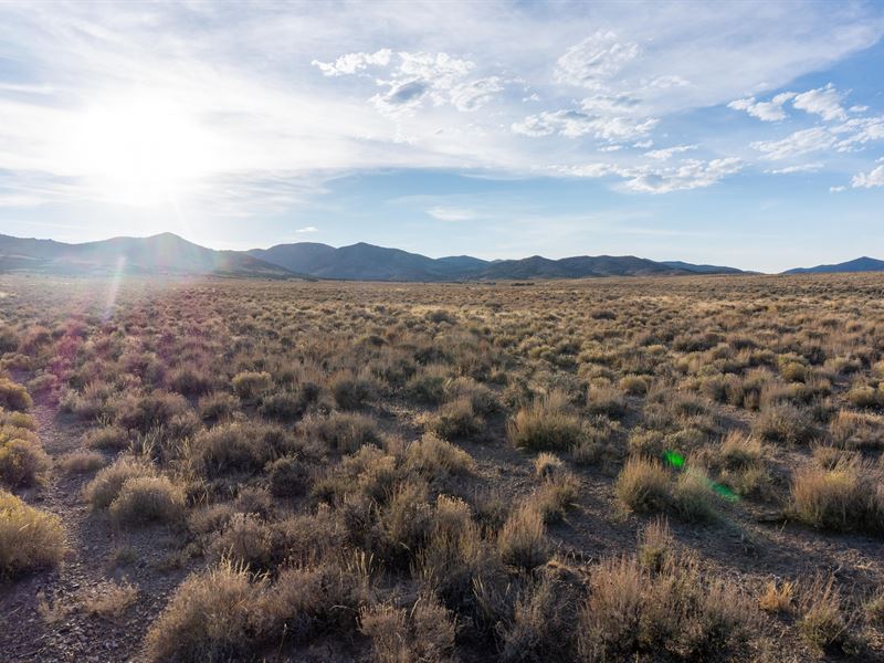 Elko County, NV $7,300 Land Deal : Elko : Elko County : Nevada