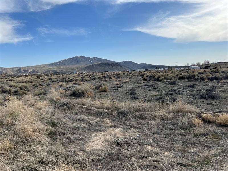 Unleash Your Nevada Adventure Today : Elko : Elko County : Nevada