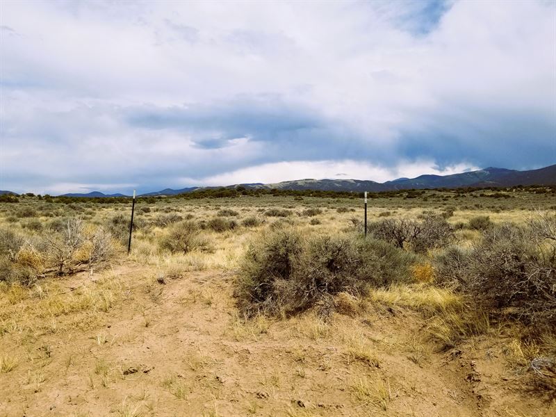 Basking in The Beauty of Nature : Fort Garland : Costilla County : Colorado