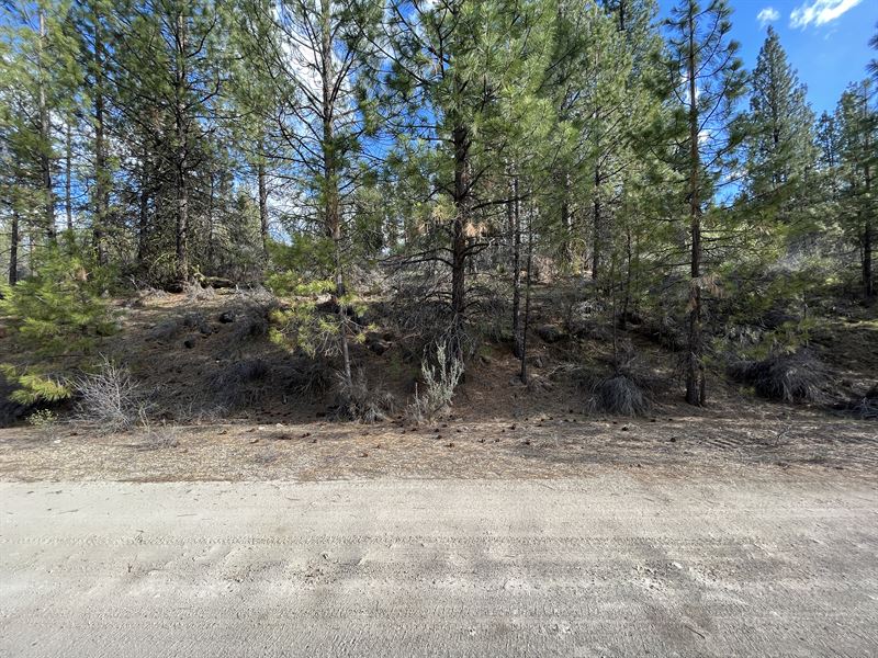 Views of Mountains Near Lakes : Beatty : Klamath County : Oregon