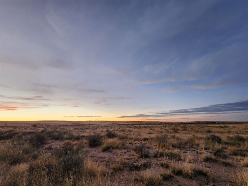 Arizona's Finest 1.05 Acre Lot : Saint Johns : Apache County : Arizona