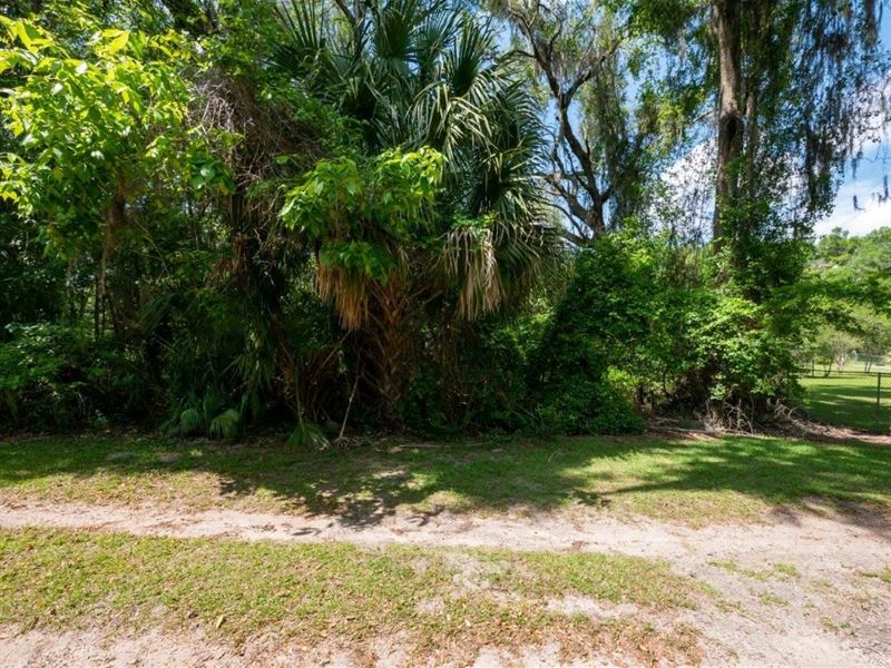 Looking for a Piece of Paradise : Citra : Marion County : Florida