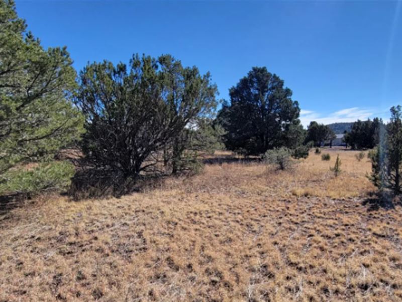 Flex Your Financial Freedom $275/Mo : Williams : Coconino County : Arizona