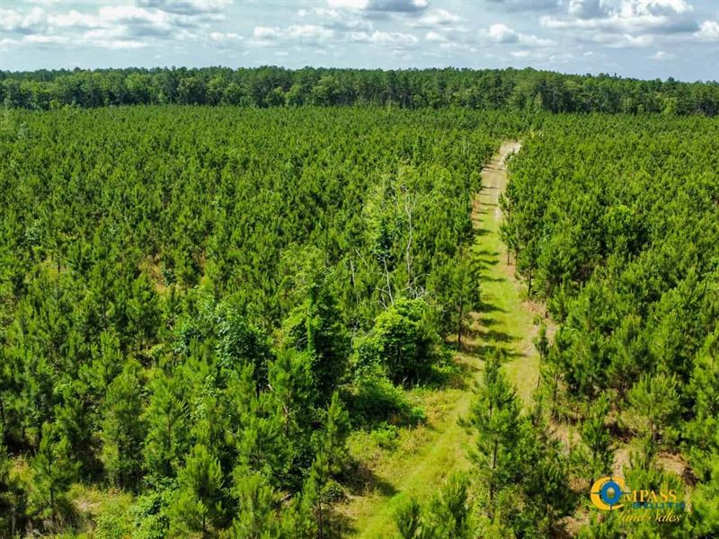 Caldon Road West Tract : Swansea : Calhoun County : South Carolina