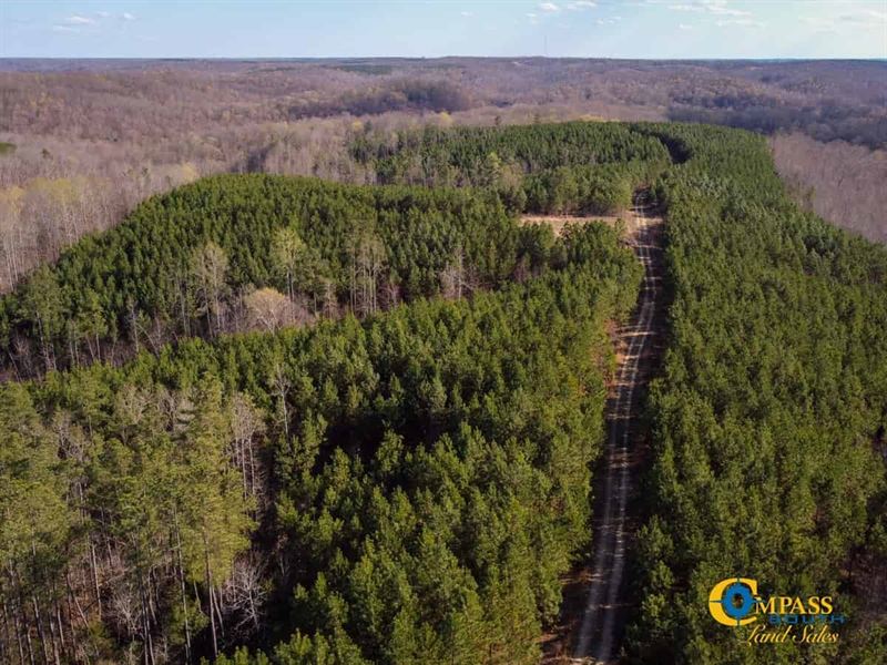 Mulberry Hill West Tract : Dover : Stewart County : Tennessee