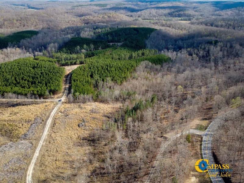 Mulberry Hill East Tract : Dover : Stewart County : Tennessee