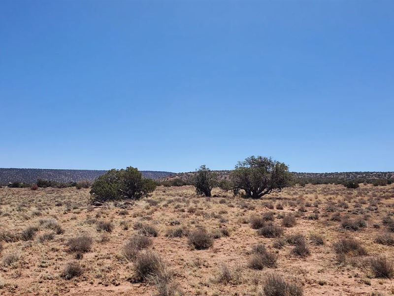 Your High-Altitude Paradise Awaits : Snowflake : Navajo County : Arizona