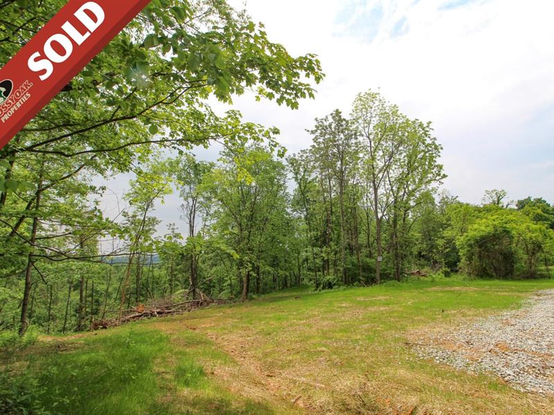 Mount Carmel Ridge Tract 1, 8 Acre : Saint Marys : Pleasants County : West Virginia