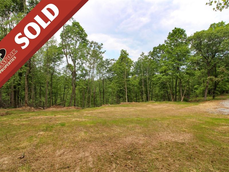 Mount Carmel Ridge Tract 2, 19 Acr : Saint Marys : Pleasants County : West Virginia