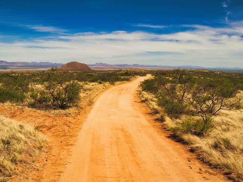 43 Acres with Close Electricity : Elfrida : Cochise County : Arizona