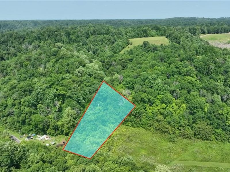 Unrestricted Land in Celina, TN : Celina : Overton County : Tennessee