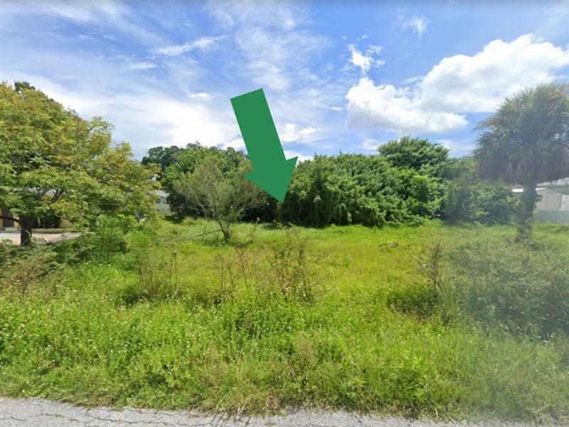 .23 Ac Residential Lot for Sale : Venice : Sarasota County : Florida