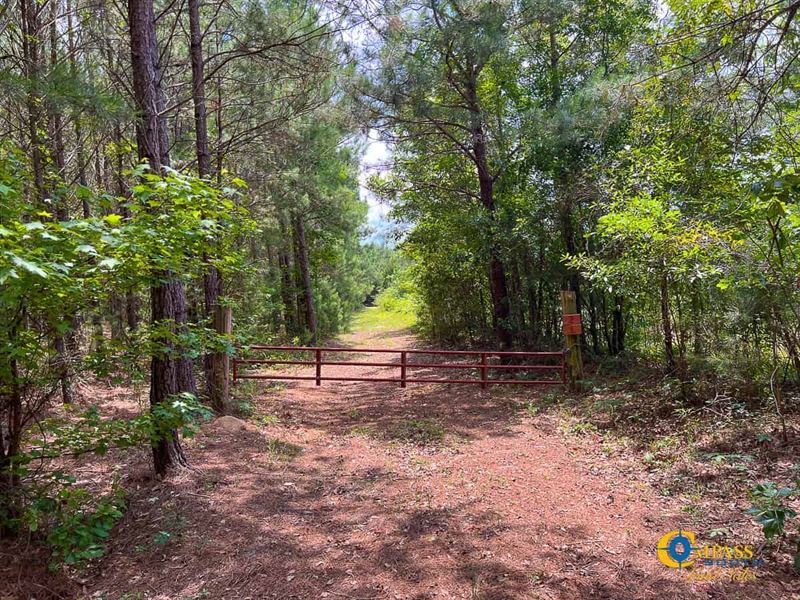 Horses Neck Road Tract : Swansea : Calhoun County : South Carolina